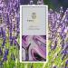 Lavanda Tzikulate 20 gr Mini Tavoletta cioccolato bianco al gusto di lavanda