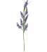 Miele di lavanda Tenute Rossini 500 gr