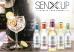 Senxup Tonic Water 200 ml