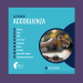 Isola Mea Sponsor Banner principale zona categoria Accoglienza