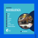 Isola Mea Sponsor Banner principale zona categoria Accoglienza