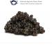 Siberian Caviar Pisani Dossi 50 gr