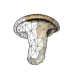 Crema di funghi sardi piccante Rosalba Delizie 70 gr